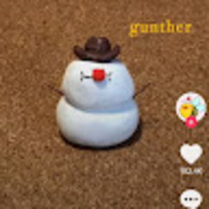 Meet your Posher, Gunther